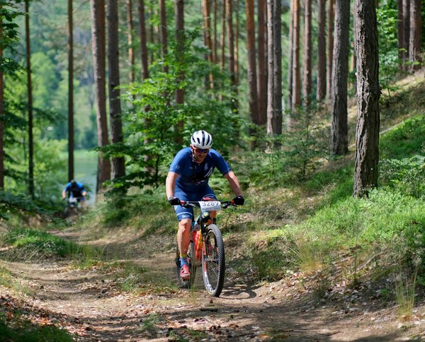 Unlock your adventure: the best mountain bikes for all trails